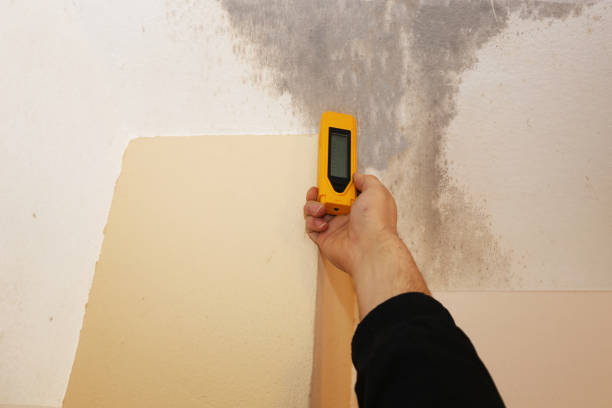 Best Residential Mold Inspection & Testing  in Manchester, NH