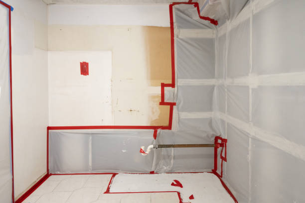 Best Attic Mold Removal  in Manchester, NH