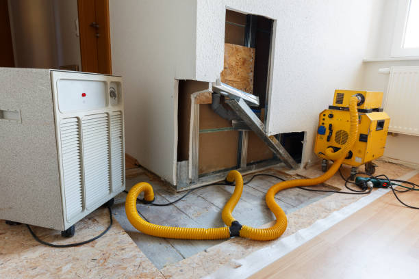 Best Commercial Mold Inspection  in Manchester, NH