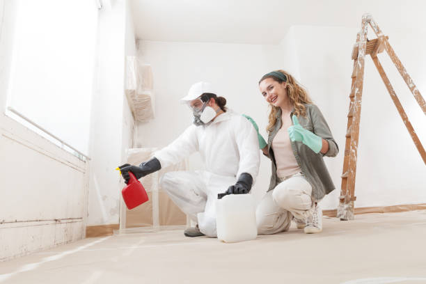 Trusted Manchester, NH Mold Removal Experts