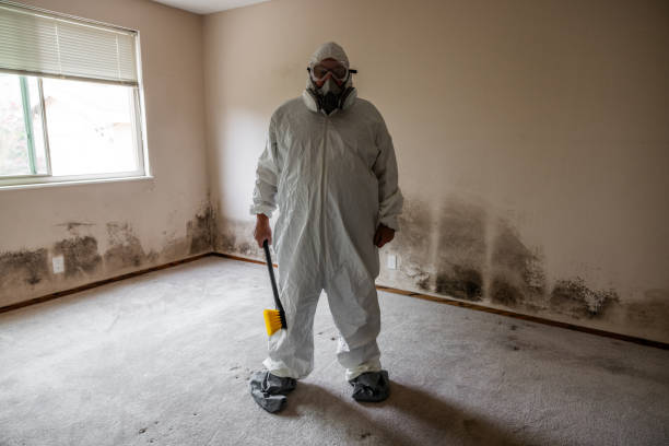Best Water Damage & Mold Remediation  in Manchester, NH